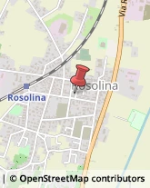 Consulenza Informatica Rosolina,45010Rovigo