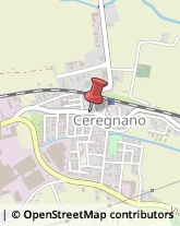 Ambulatori e Consultori Ceregnano,45010Rovigo