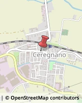 Costruzioni Meccaniche Ceregnano,45010Rovigo