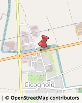 Aziende Agricole Cicognolo,26030Cremona