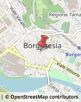 Ecografia e Radiologia - Studi Borgosesia,13011Vercelli