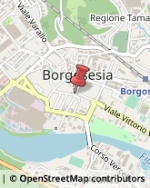 Profumerie Borgosesia,13011Vercelli