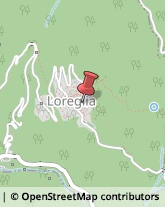 Autotrasporti Loreglia,28893Verbano-Cusio-Ossola