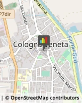 Bestiame - Allevamento e Commercio Cologna Veneta,37044Verona