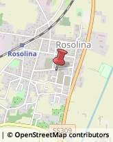 Articoli per Ortopedia Rosolina,45010Rovigo