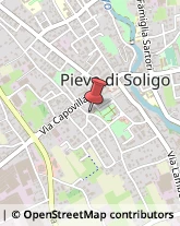 Fisiokinesiterapia - Medici Specialisti Pieve di Soligo,31053Treviso