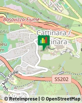 Importatori ed Esportatori Trieste,34149Trieste
