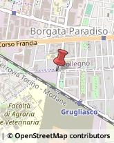 Gomma Articoli - Dettaglio Grugliasco,10095Torino