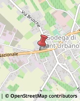 Agrumi Godega di Sant'Urbano,31010Treviso