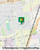 Consulenza di Direzione ed Organizzazione Aziendale,24040Bergamo