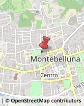 Associazioni Sindacali Montebelluna,31044Treviso