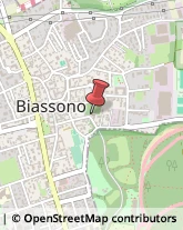 Scultori d'Arte - Studi Biassono,20853Monza e Brianza