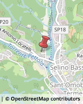 Giardinaggio - Servizio Sant'Omobono Terme,24038Bergamo