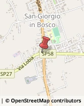 Consulenza Informatica San Giorgio in Bosco,35010Padova