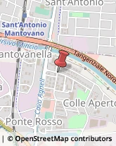 Autotrasporti Mantova,46100Mantova