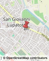 Libri, Fumetti e Riviste San Giovanni Lupatoto,37057Verona