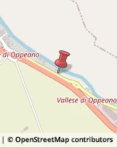 Carte da Gioco Oppeano,37050Verona