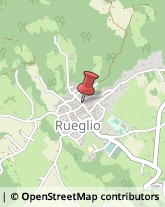 Autotrasporti Rueglio,10010Torino