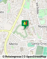 Feste - Organizzazione e Servizi Bassano del Grappa,36061Vicenza