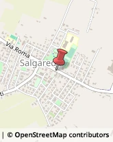 Casalinghi Salgareda,31040Treviso