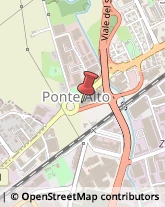 Autofficine e Centri Assistenza,36100Vicenza