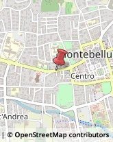 Scuole e Corsi di Lingua Montebelluna,31044Treviso