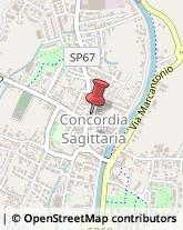 Abbigliamento Donna Concordia Sagittaria,30023Venezia