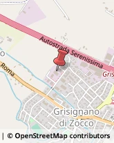 Autotrasporti Grisignano di Zocco,36040Vicenza
