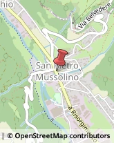 Società Immobiliari San Pietro Mussolino,36070Vicenza