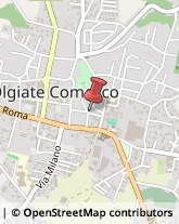 Latterie Olgiate Comasco,22077Como