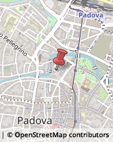 Aste Pubbliche Padova,35137Padova