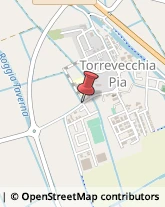 Autotrasporti Torrevecchia Pia,27010Pavia