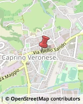 Associazioni Sindacali Caprino Veronese,37013Verona