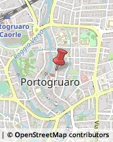 Studi - Geologia, Geotecnica e Topografia Portogruaro,30026Venezia