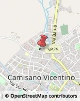 Autotrasporti Camisano Vicentino,36043Vicenza