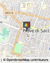 Lavoro Interinale Piove di Sacco,35028Padova