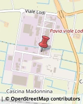 Dispositivi di Sicurezza e Allarme Pavia,27100Pavia