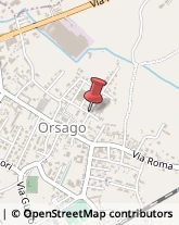 Autotrasporti Orsago,31010Treviso