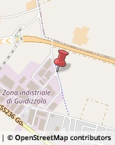 Aziende Agricole Guidizzolo,46040Mantova