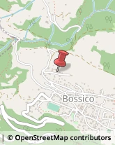 Fabbri Bossico,24060Bergamo