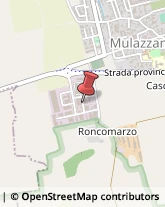 Bronzo Mulazzano,26837Lodi