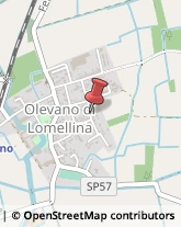 Macellerie Olevano di Lomellina,27020Pavia