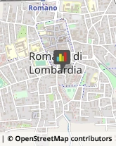 Pelletterie - Dettaglio Romano di Lombardia,24058Bergamo