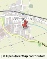 Parrucchieri Ceregnano,45010Rovigo