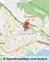 Logopedia Gavirate,21026Varese