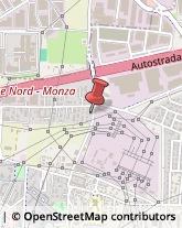 Pompe d'Iniezione per Motori Monza,20861Monza e Brianza