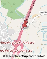 Autotrasporti Gropello Cairoli,27027Pavia