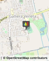 Macellerie Galliera Veneta,35015Padova