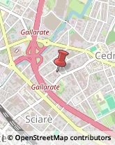 Spedizioni Marittime, Aeree e Terrestri Gallarate,21013Varese