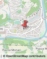 Aziende Agricole Zogno,24019Bergamo